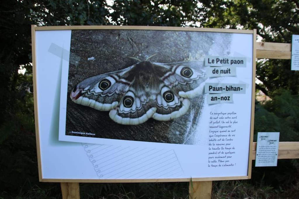 Plounerin La Petite Bretonneヴィラ エクステリア 写真