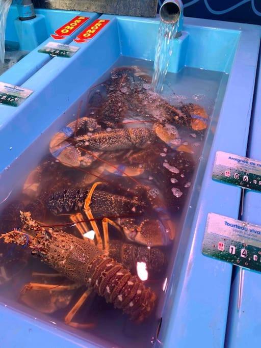 Plounerin La Petite Bretonneヴィラ エクステリア 写真